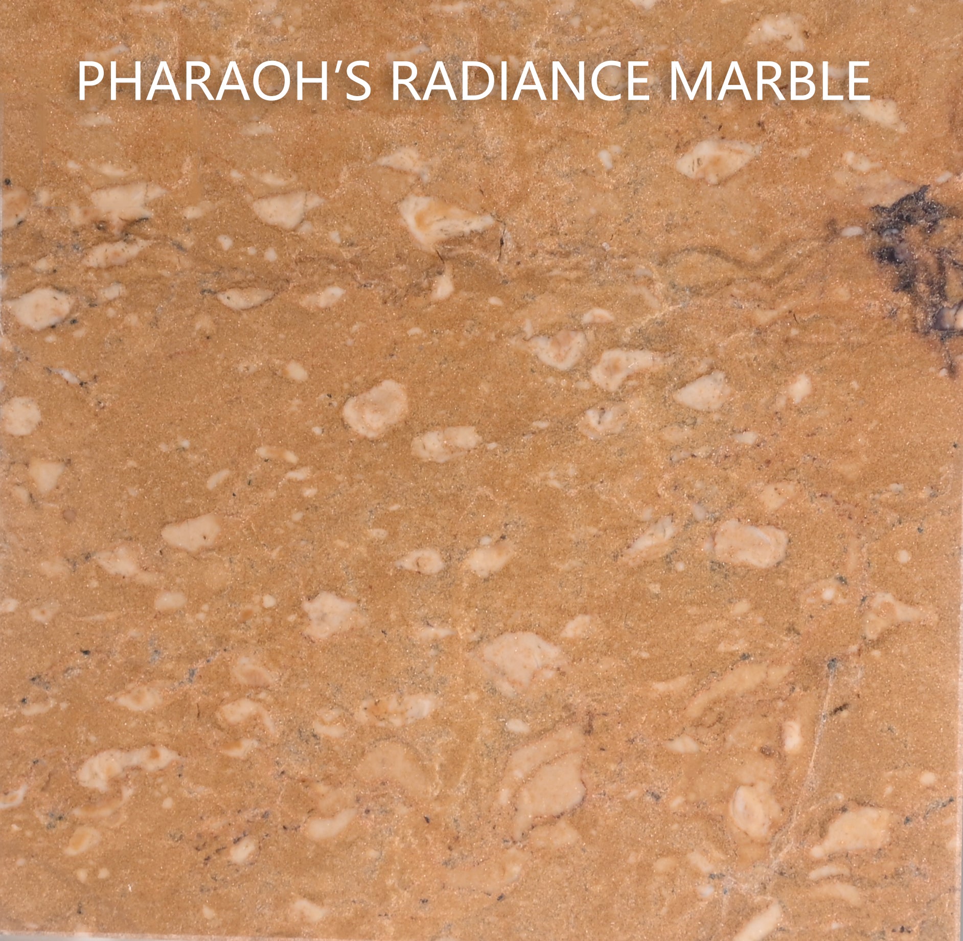 Imperial Gold Marble