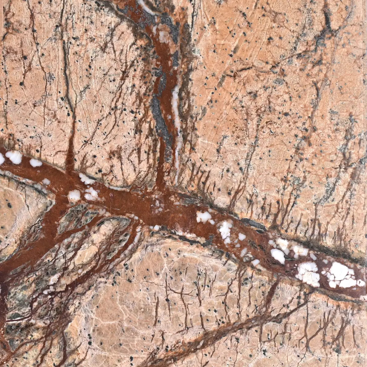 Rainforest Brown