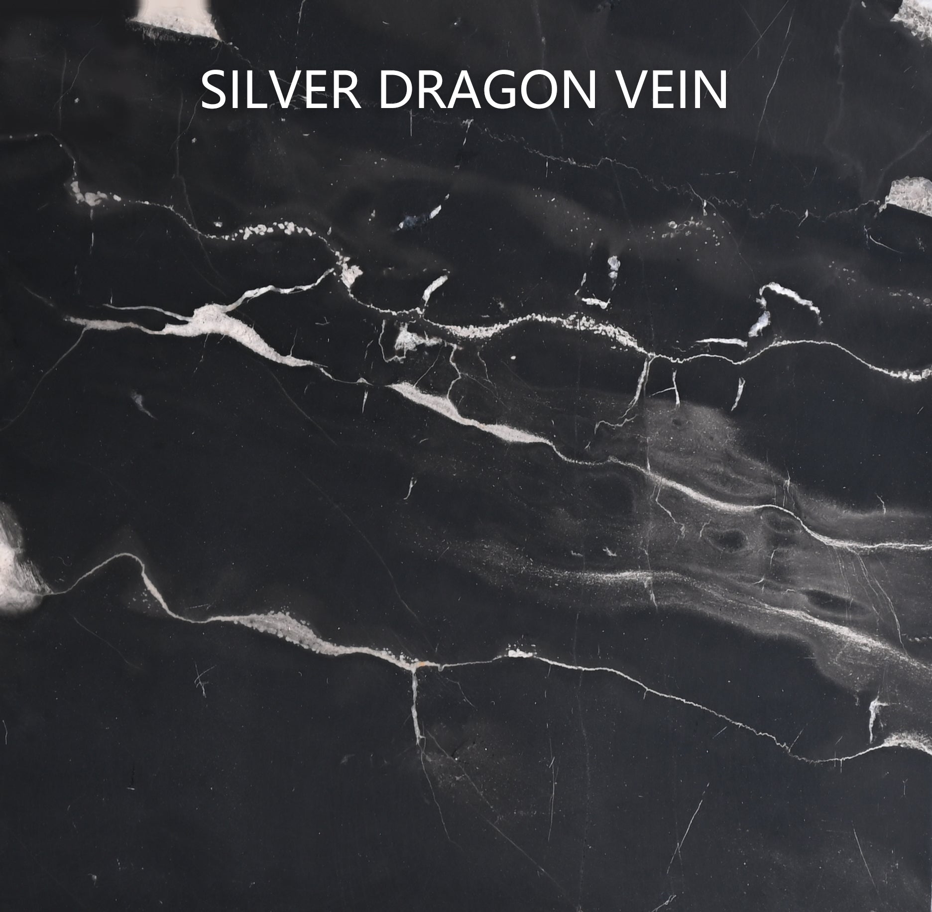 Silver Dragon Marble