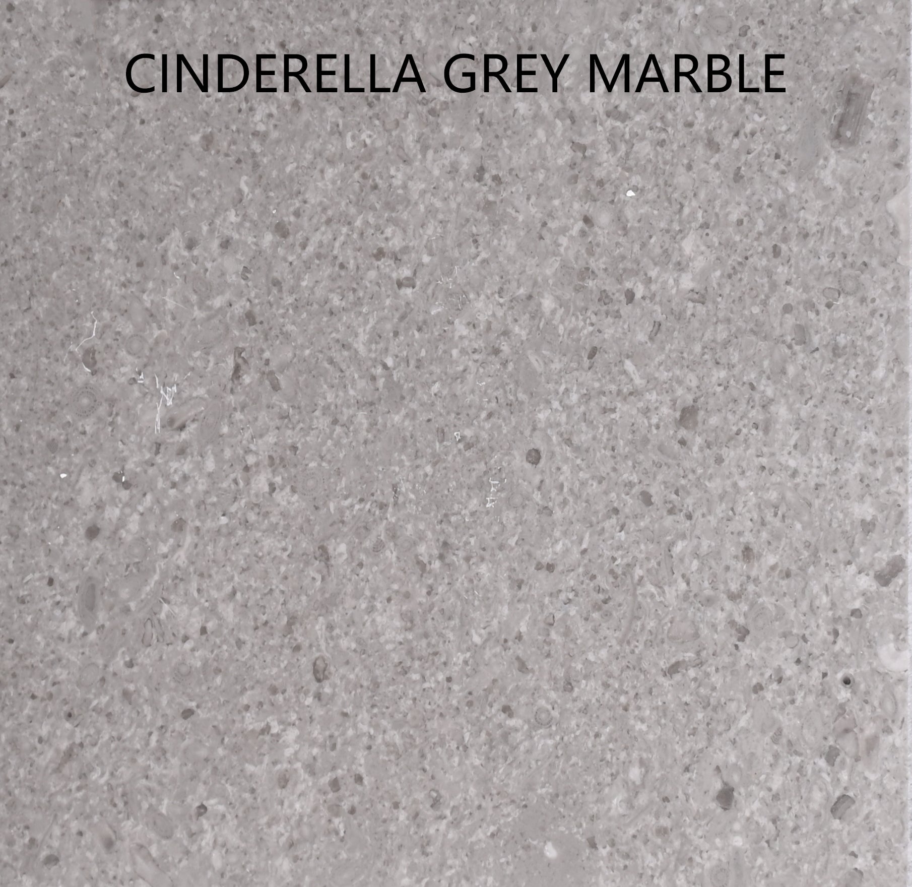 Cinderella Grey Marble