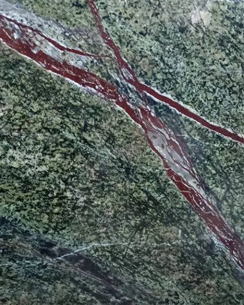 ANCIENT FOREST