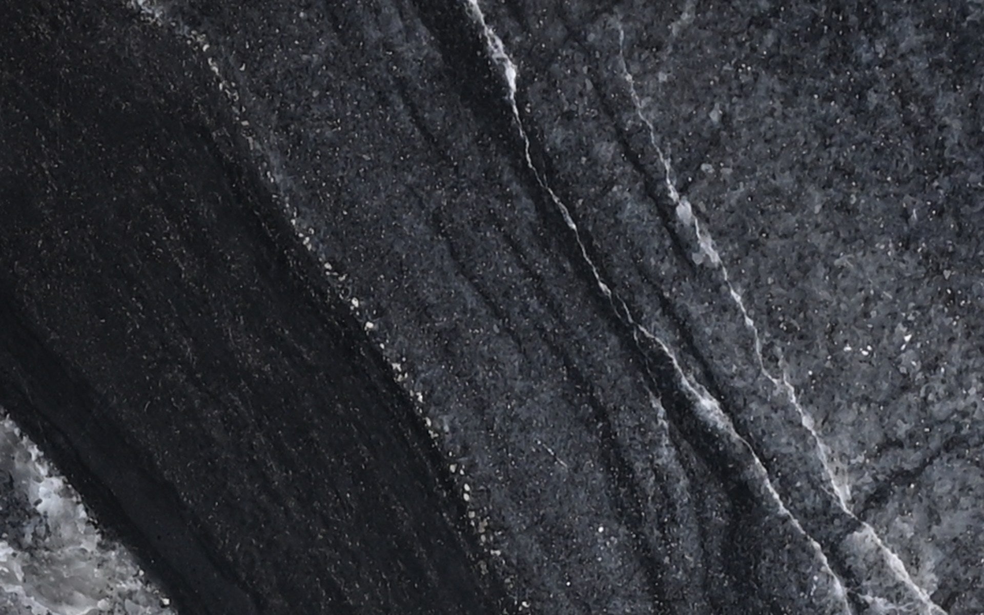 ANCIENT TIMBER II