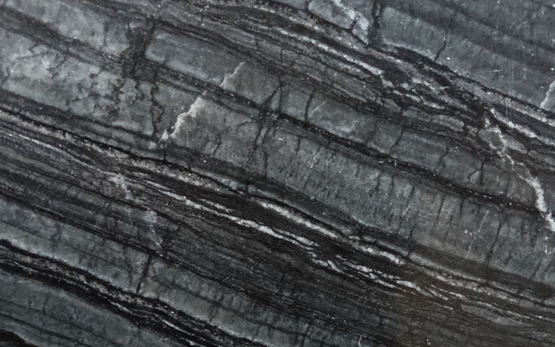ANCIENT TIMBER
