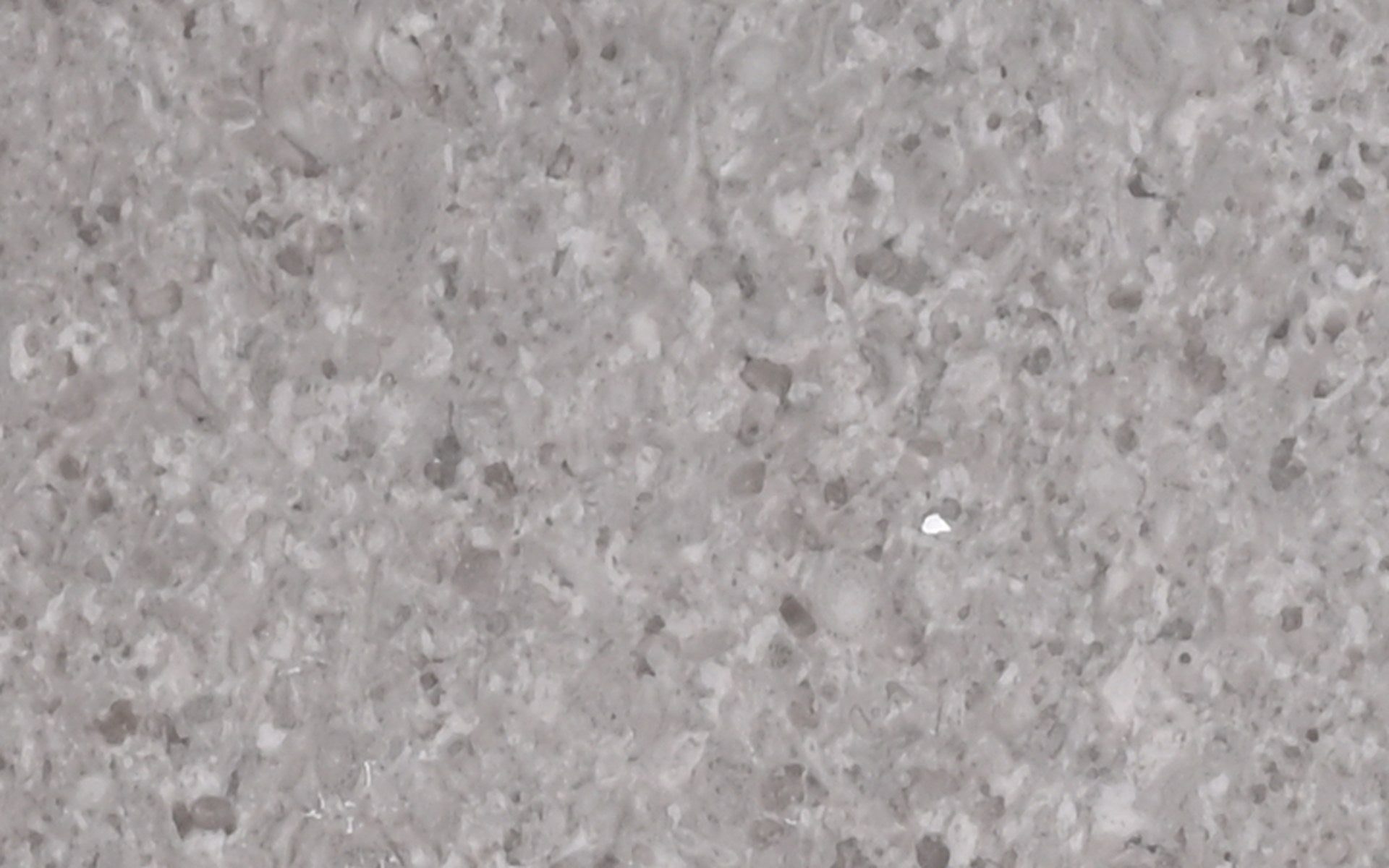 CINDERELLA GREY