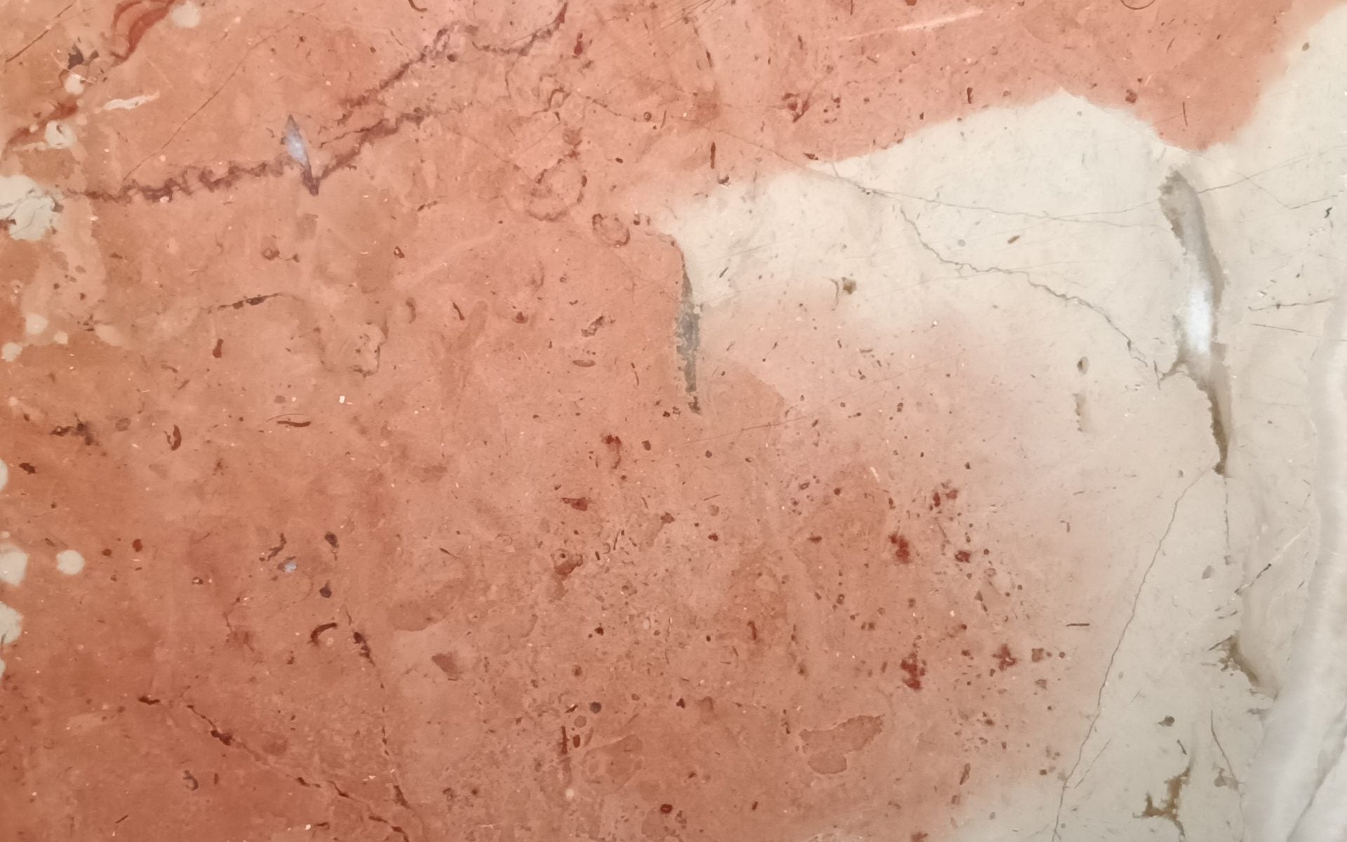 CORAL BLUSH