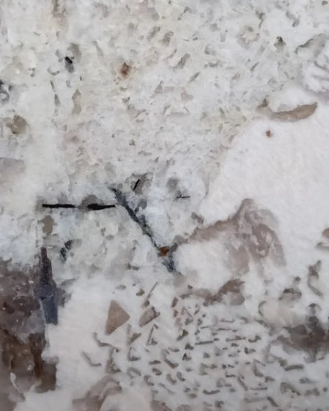 GRAPHITE VEIN