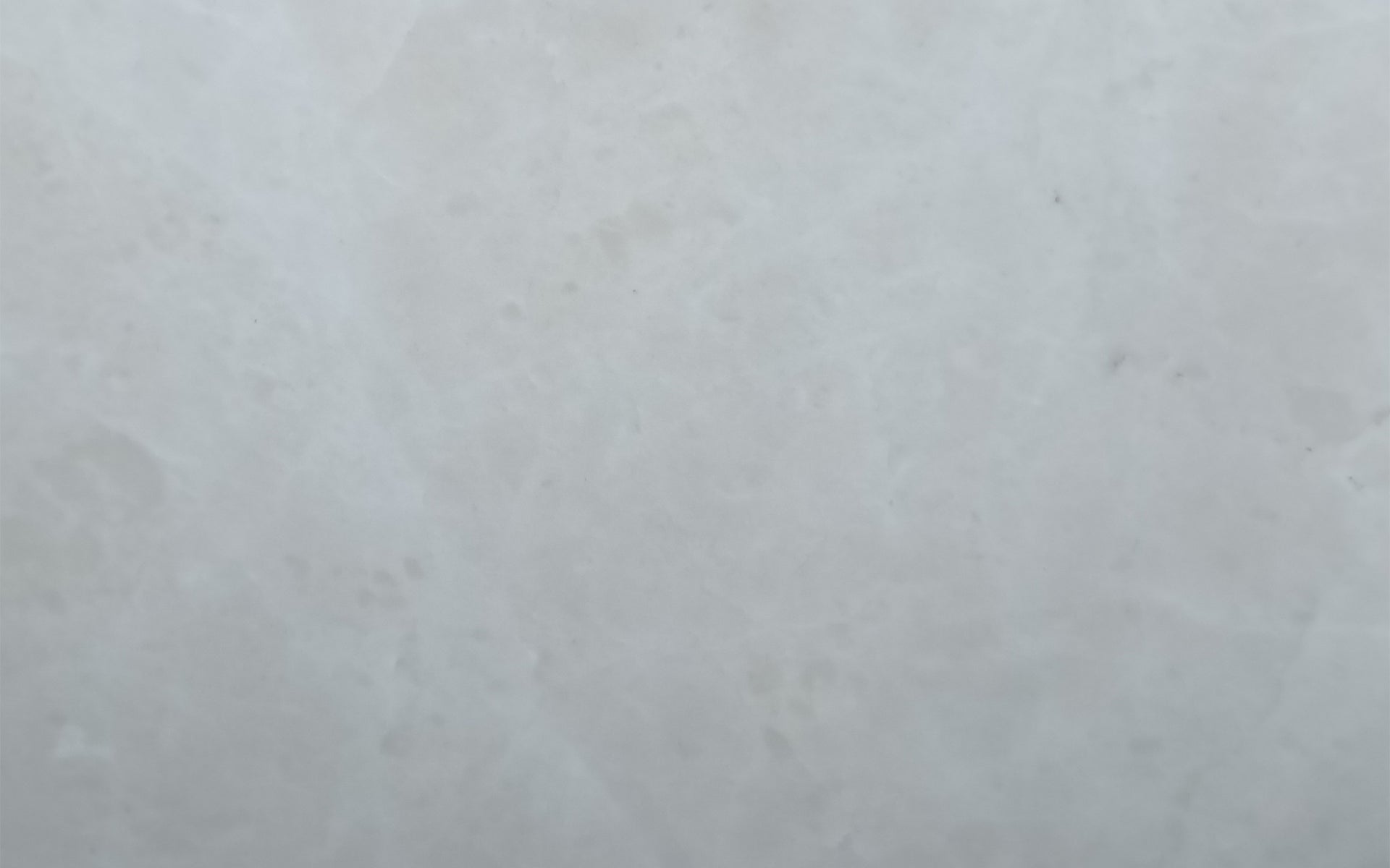 MAGNOLIA WHITE