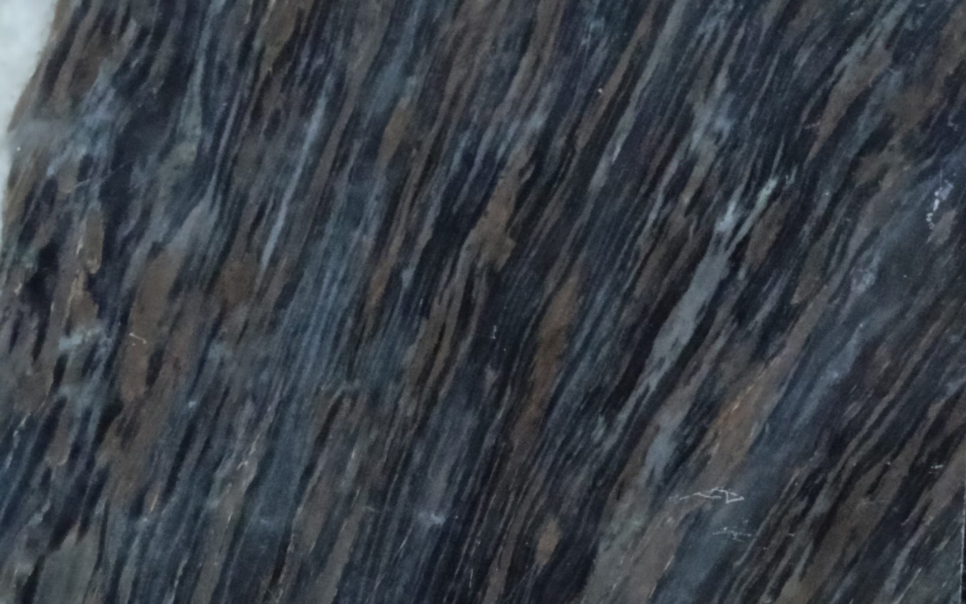 NOCTURNE BLUE