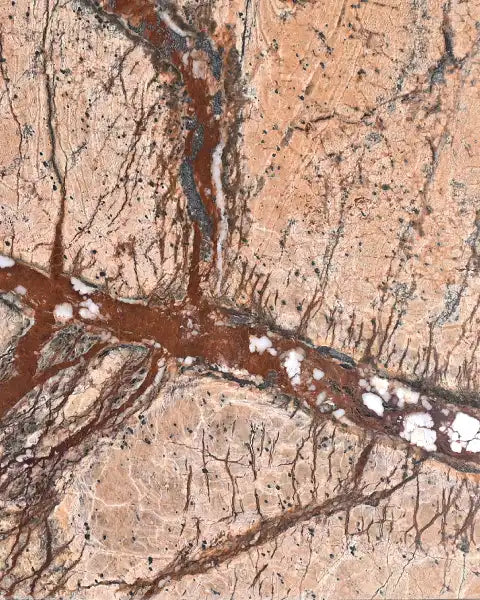 RAINFOREST BROWN