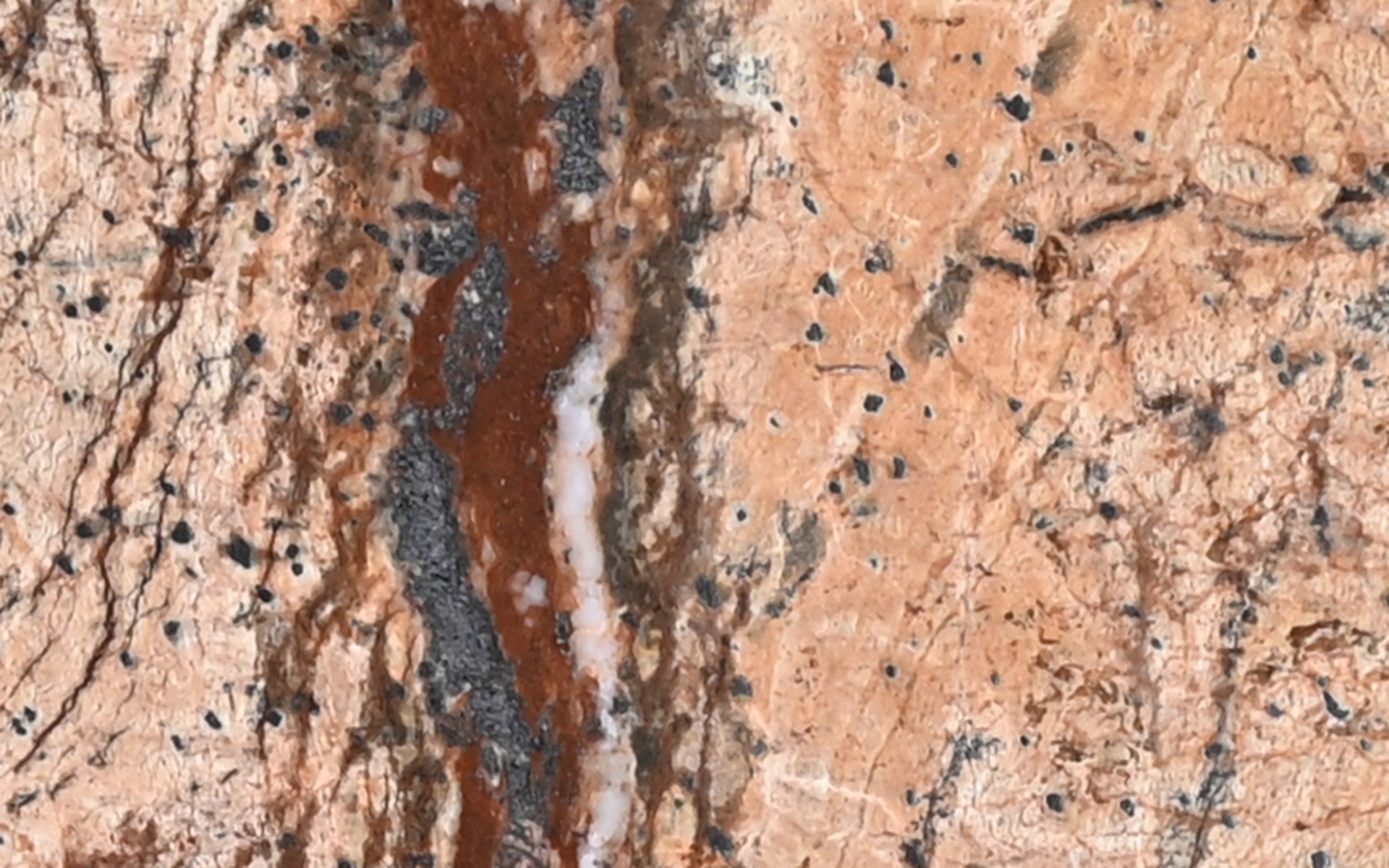 RAINFOREST BROWN