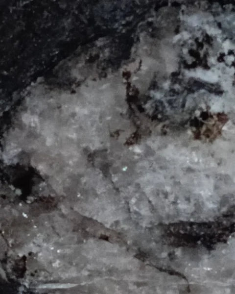 THUNDER VEIN