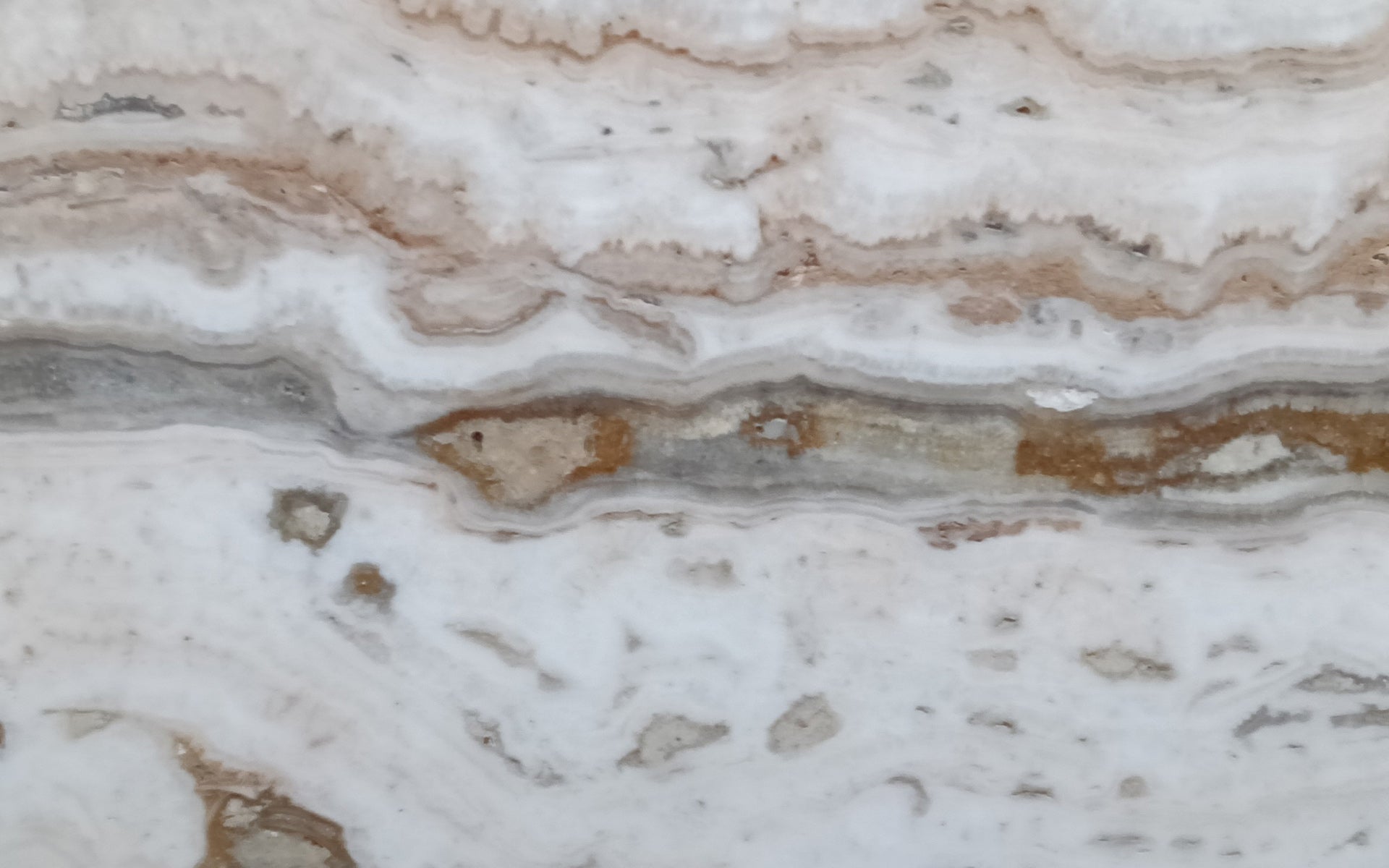 TIRAMISU STRATA