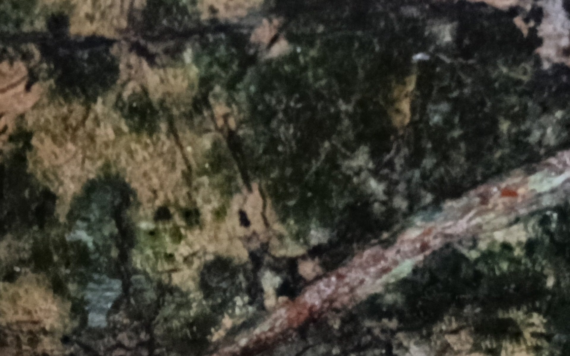 VERDE UMBRA