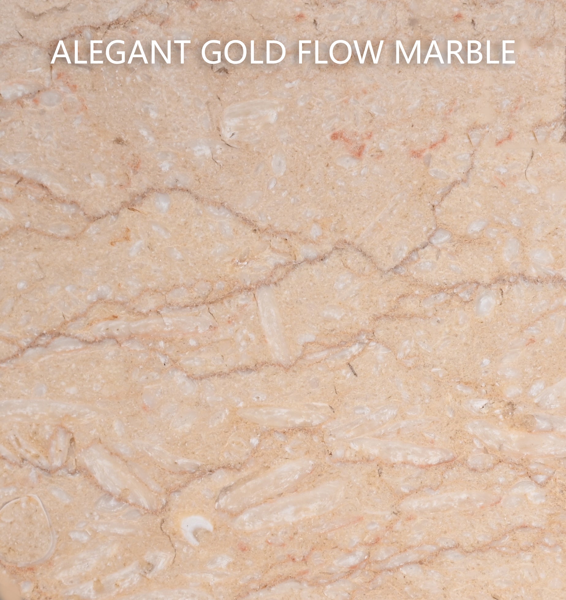 Golden Line Beige Marble